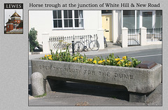 Lewes - Horse trough - New Road / White Hill junction - 21.1.2006
