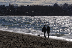 Walking the Dog - An afternoon on English Bay Beach