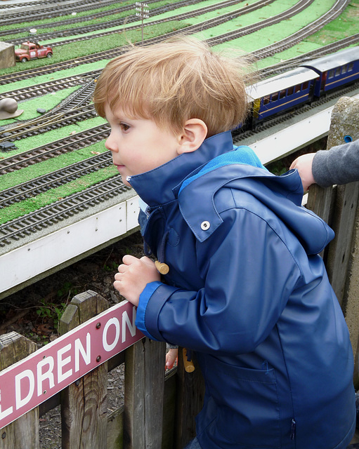 Dexter Watching the Model Railway