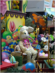 Easter Bunny back in town