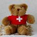 Swiss Bear