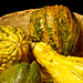 Gourds with Chris Buscaglia Lenz Texture  101713