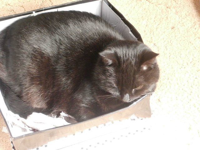 ''This is my box'' says Boo