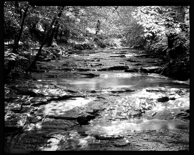 Crabtree Creek, Revisited, Thanks to Clyde Butcher