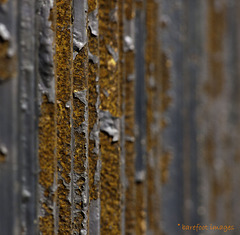 This is what I call a rusty fence