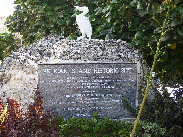 Pelican Island - 10 March 2014