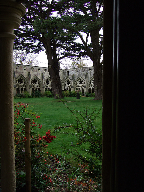 DSCF1906a  Salisbury Cathedral Cloister
