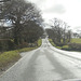 Road towards Dartmoor