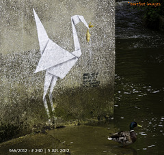 240|366: crane - goldfish - duck