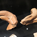 Museum Carnuntinum : poignées en forme de serpent.
