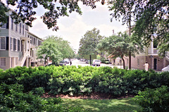 Image59 Savannah City Street