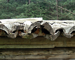 Log cabin roof detail