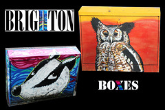 Brighton - Owl & Badger - relay box art - 22.11.2013