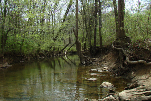 Fisher Creek April 2010