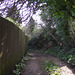 My bower drive is no more - the trees have been cut down