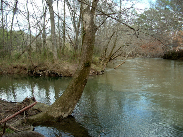 Big Wills and Fisher Creek