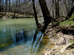 Big Wills Creek