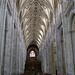 DSCF0065 Knave ceiling Winchester Cathedral
