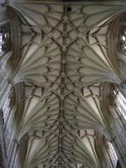 DSCF0066 Knave ceiling Winchester Cathedral