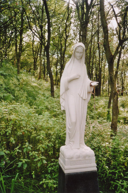 St. Mary in the Woods