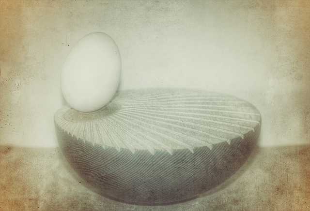 duck egg 4
