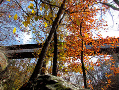 Horton Mill Covered Bridge in Fall