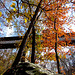 Horton Mill Covered Bridge in Fall