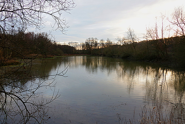 20140211 0101VAw Fischteiche, Salzetal