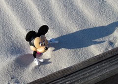 Minnie in the Sand