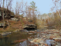 Calvert Prong of the Locust Fork River