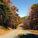 Autumn on the Road