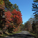 Fall on the Road