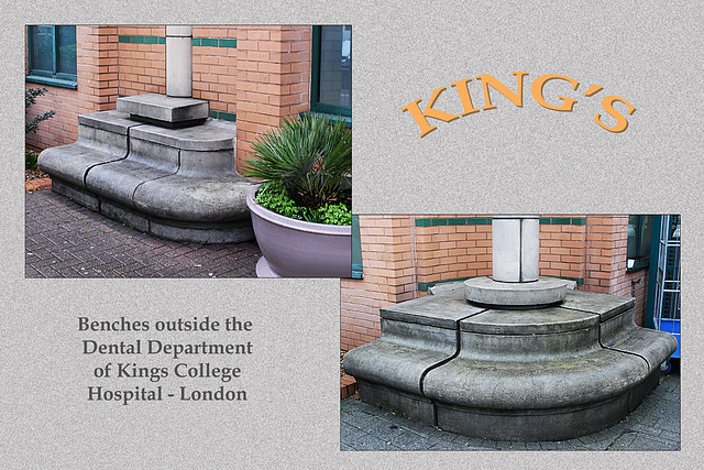 King's Dental Hospital benches - London - 14.2.2014