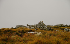 Wireless Ridge, East Falkland