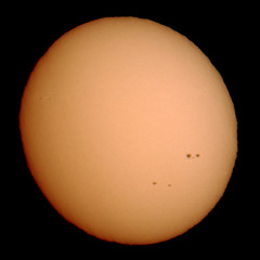 Sunspots near solar maximum