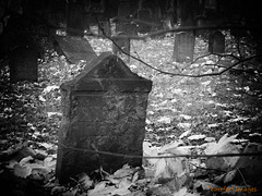 Auf dem jüdischen Friedhof I - Jewish Cemetery I