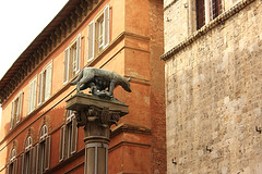 Siena - Piazza B. Tolomei - Lupa senese