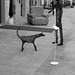 Gaiole In Chianti - A Dog & A Man