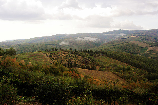 Toscana 5