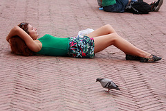 A Resting Girl & A Pigeon