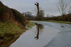 Very wet country lanes, Haughton