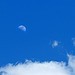 Daytime Moon and Clouds