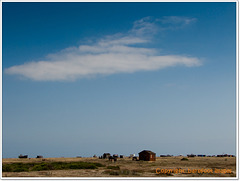 dungeness_I