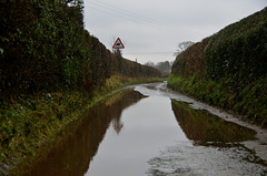 Very wet county lanes, Haughton
