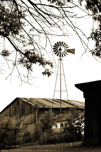 The Old Barn and Windmill