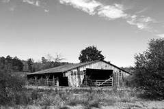 Old Barn in Black and White