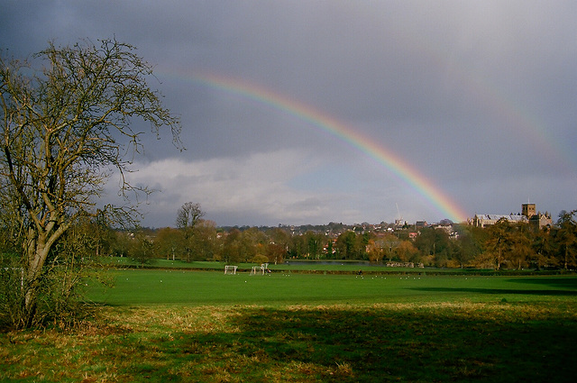 Rainbow over the Park