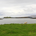 Isle Of Skye 25
