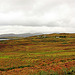 Isle Of Skye 31