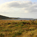 Isle Of Skye 42